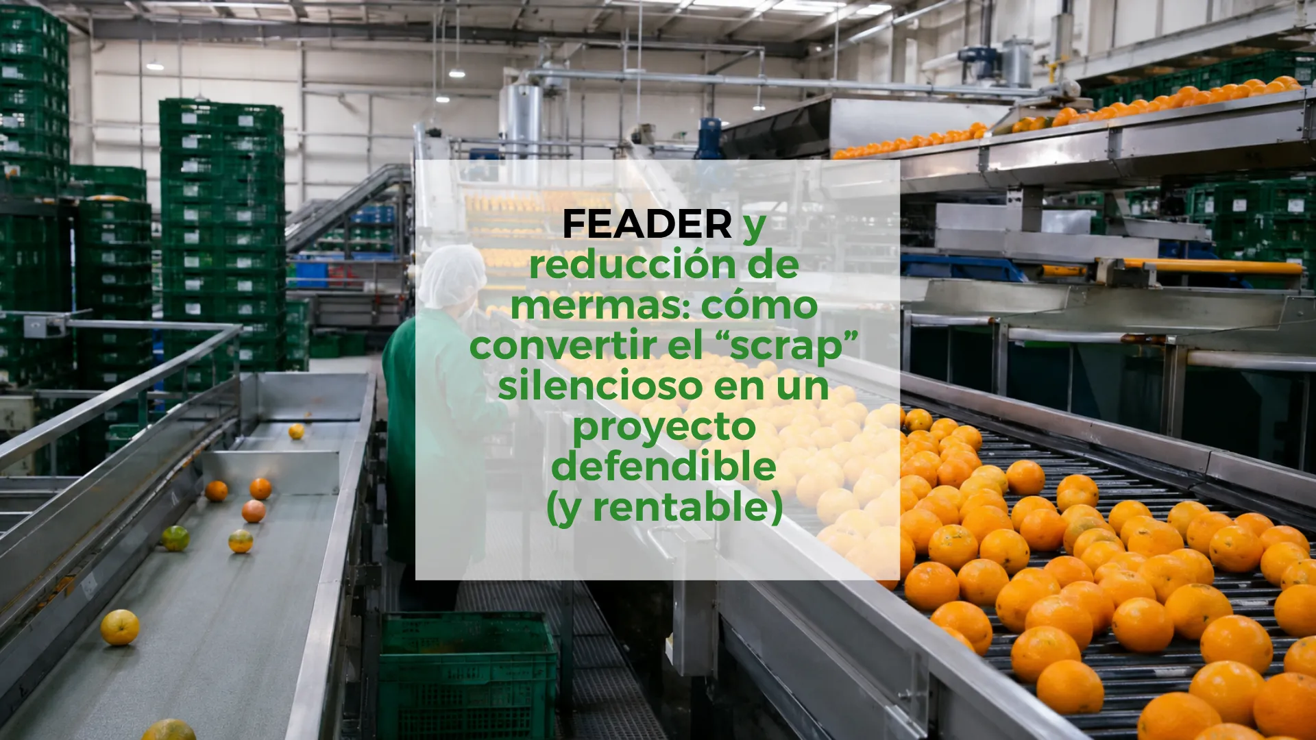 FEADER-y-reducción-de-mermas:-cómo-convertir-el-“scrap”-silencioso-en-un-proyecto-defendible-(y-rentable)